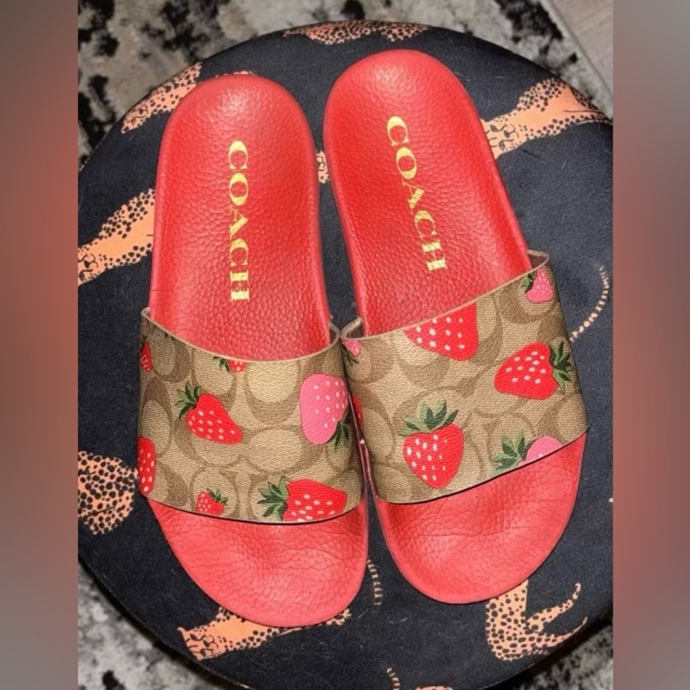 Coach Woman’s Strawberry Slides.  Size 8.  Great condition.